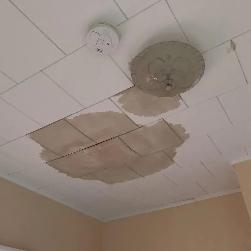 Ceiling Water Damage Repair in Bellevue, NE